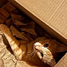 cat, orange_cat, white_cat, feline, pet, animal, lying_down, inside_box, cardboard_box, packing_paper, whiskers, green_eyes, pink_nose, fur, close_up, indoor, cozy, playful, curious, upside_down