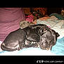 Charlotte is registered to the contest to win money with this photo: