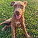 Baïya