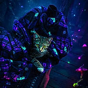 Taz joined the competition — help win amazing prizes! cat, kitten, animal, pet, feline, striped_fur, green_eyes, wide_eyed, sitting, blanket, fabric, chair, outdoor, night, neon_lighting, blue_light, purple_light, glowing_mushroom, mystical, portrait