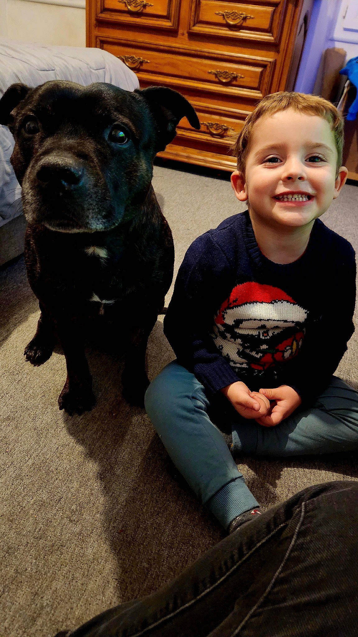 Messon a rejoint le concours — aidez-le/la à gagner de superbes lots ! blue, carnivore, child, companion_dog, dog, dog_breed, eye, fawn, fur, happy, head, jeans, joy, person, sitting, smile, sporting_group, t_shirt, terrestrial_animal, toddler