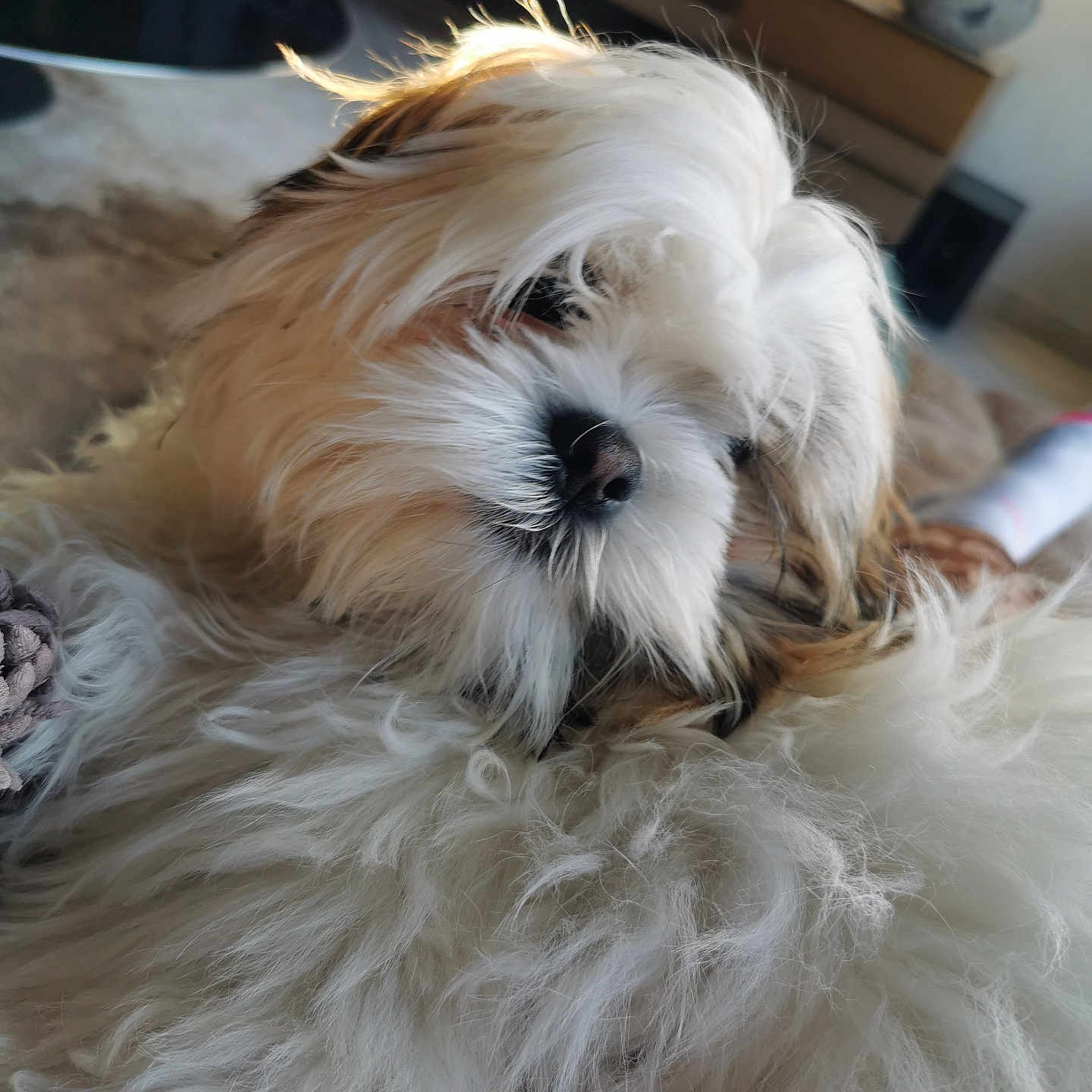 Max