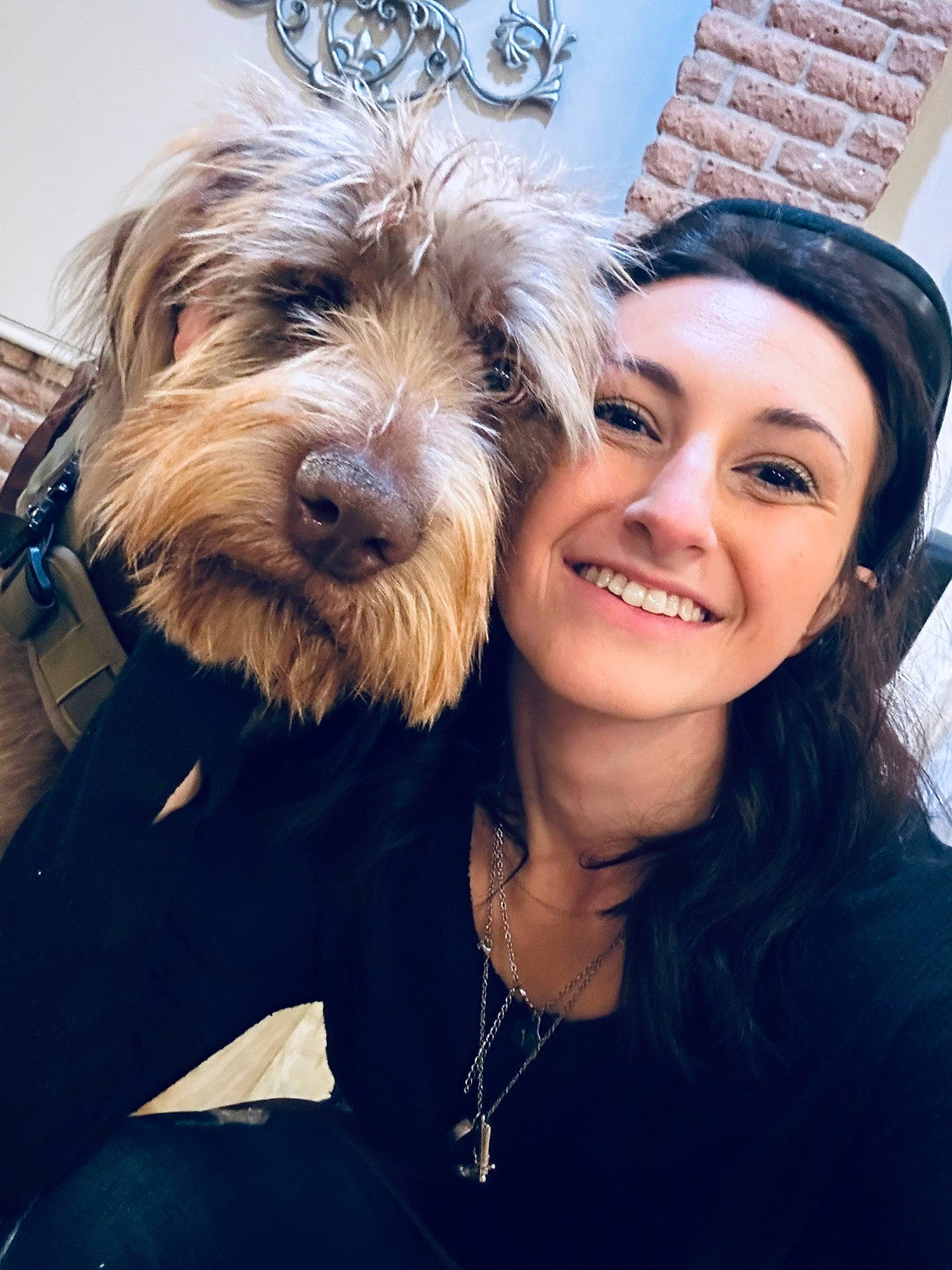 Sam Elliot is registered to the contest to win money with this photo: blond, brown_hair, carnivore, companion_dog, dog, dog_breed, electric_blue, event, fashion_accessory, flash_photography, friendship, fur, happy, jewellery, selfie, small_terrier, smile, sporting_group, terrier, toy_dog