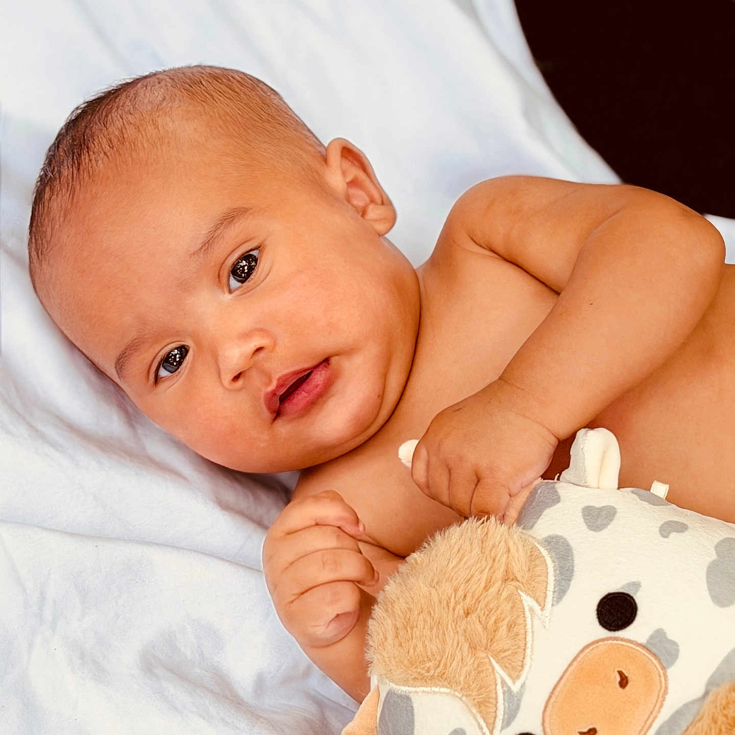 Jaylen