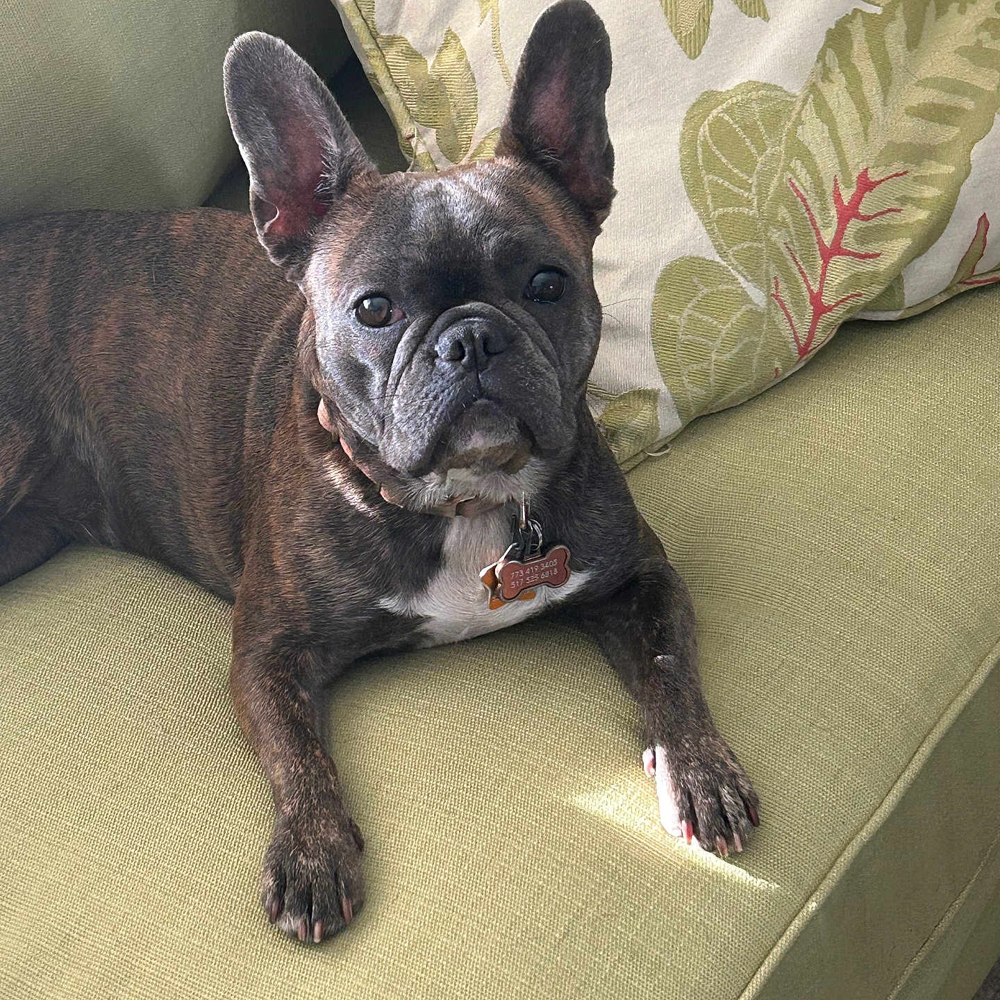 Bella