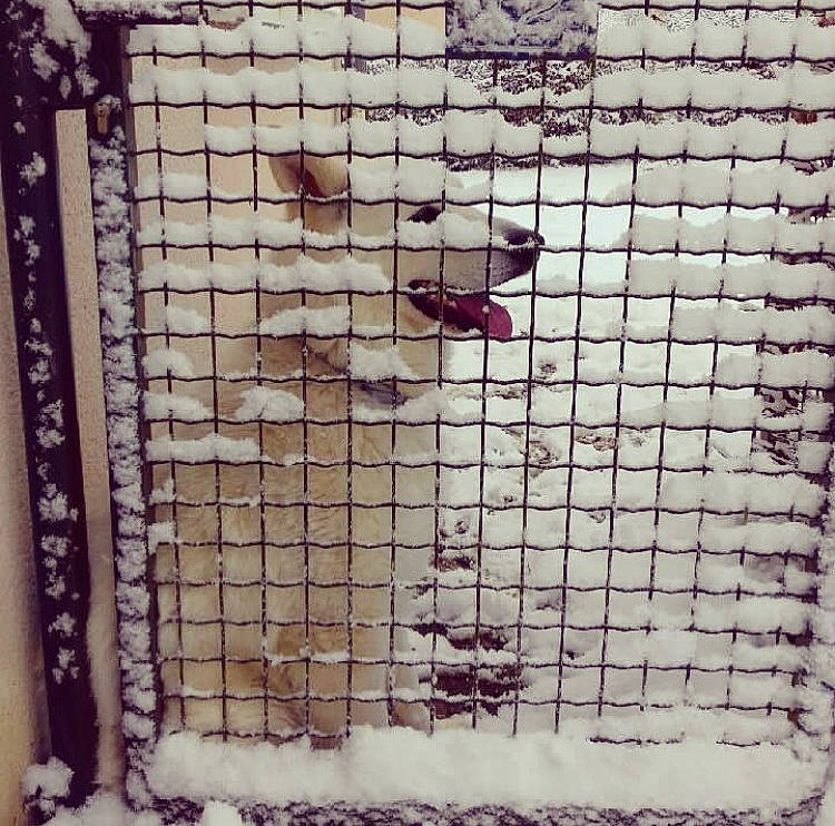 Mako a rejoint le concours — aidez-le/la à gagner de superbes lots ! art, design, pattern