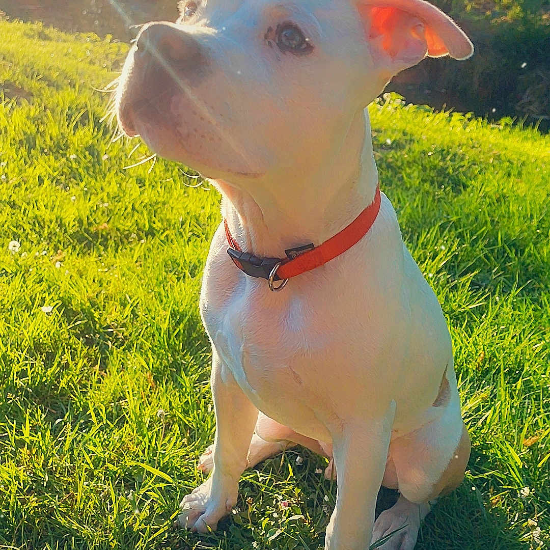 Charly