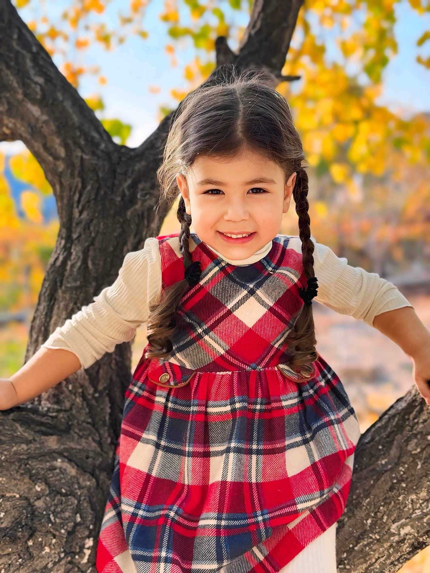 Hasmik is registered to the contest to win money with this photo: child, girl, braids, plaid_dress, long_sleeve_shirt, tree, tree_branch, autumn, fall_foliage, smiling, outdoor, nature, portrait, happy, young_child, daylight, casual_clothing, cute, seasonal, park