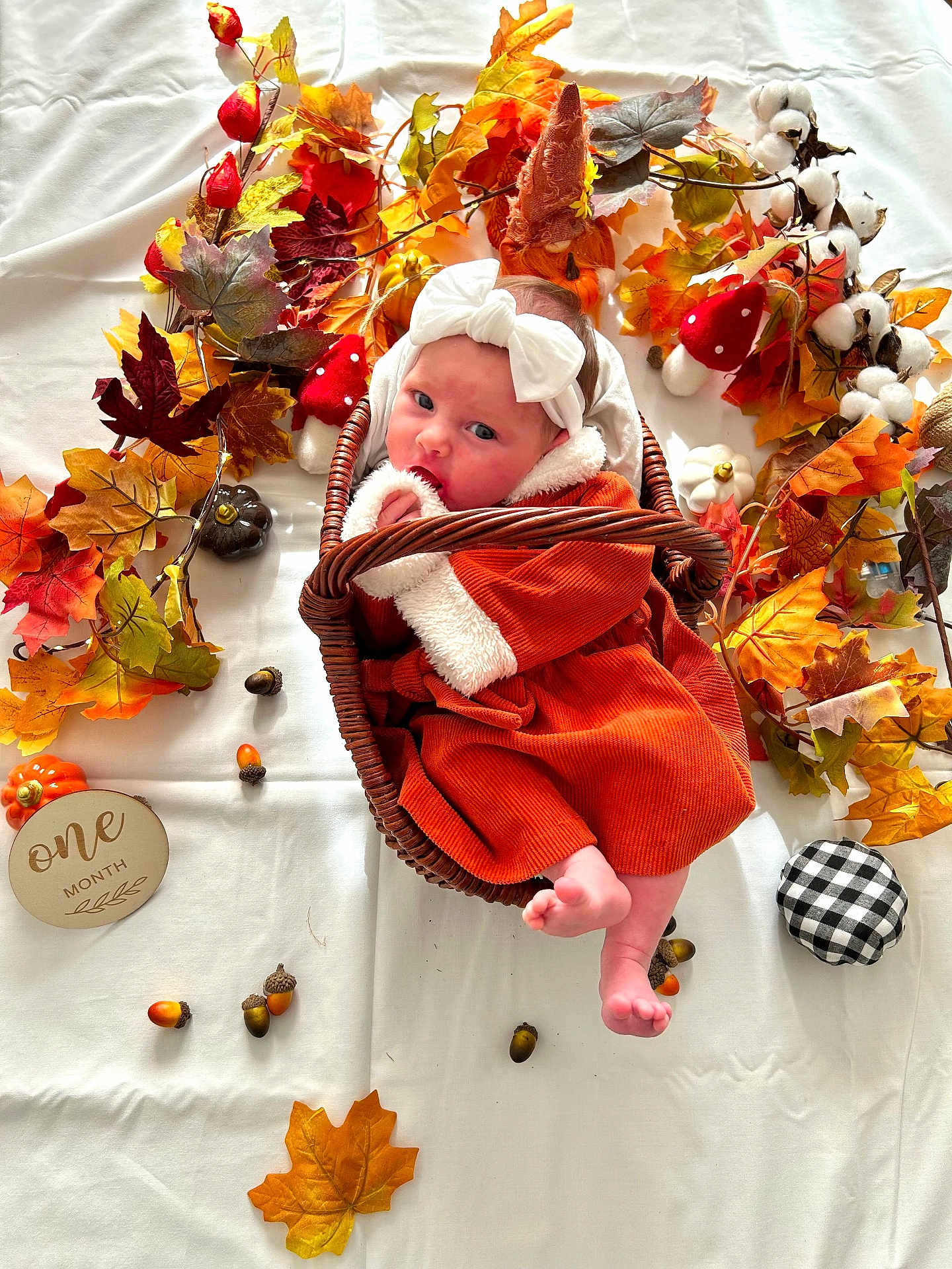 Naya participe au concours pour gagner de l'argent avec cette photo : baby, infant, basket, autumn, fall_leaves, acorns, orange_clothing, headband, white_bow, decorations, seasonal, cute, cozy, one_month, lying_down, soft_fabric, holiday_theme, child, newborn, portrait