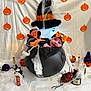 Naya participe au concours pour gagner de l'argent avec cette photo : baby, cauldron, halloween, pumpkin, spider, costume, orange, black, decoration, cobweb, hat, smile, face, headband, toy, glow, festive, cute, holiday, portrait