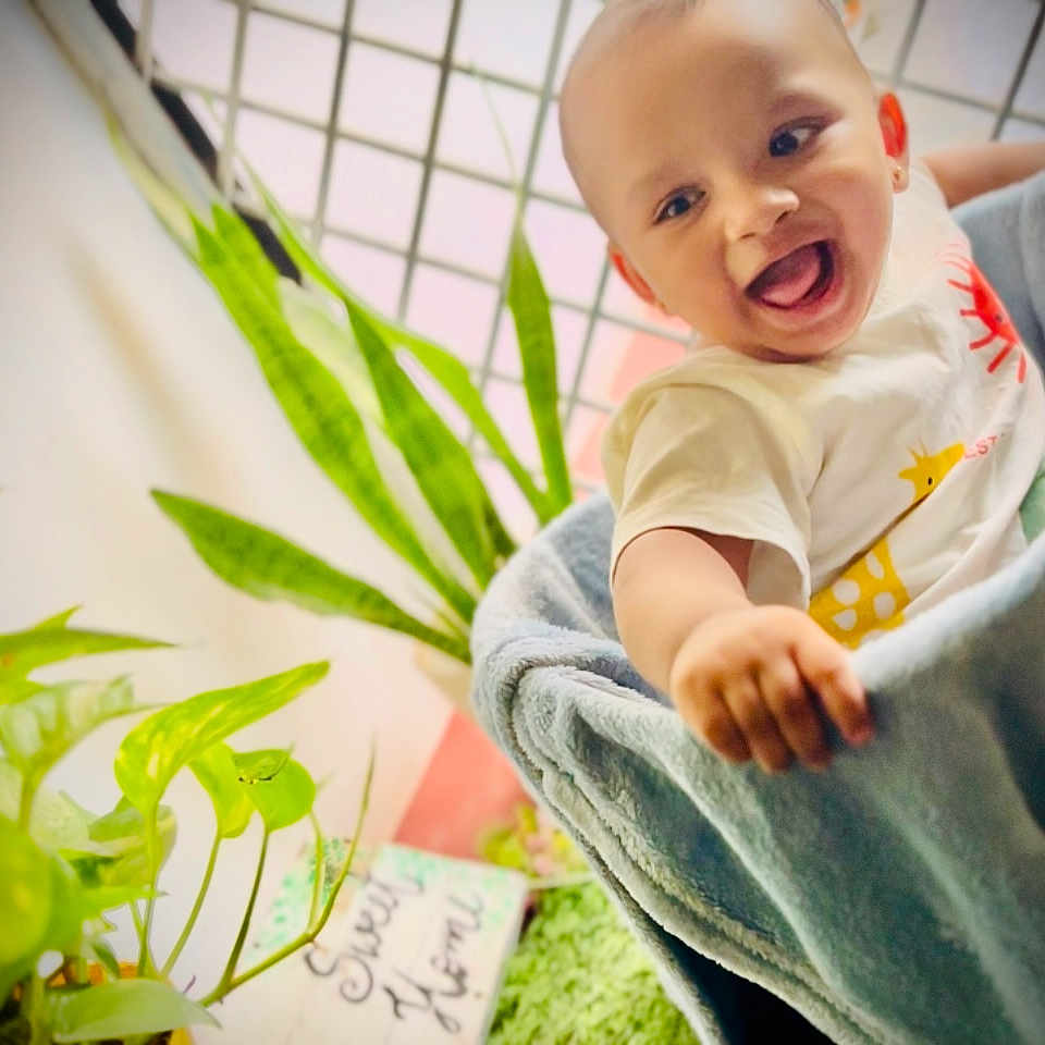 Advay is registered to the contest to win money with this photo: baby, babylaughing, clothing, face, happy, head, herbal, herbs, laughing, leaf, pants, person, photography, plant, portrait, pottedplant, sitting, smile, t_shirt, window