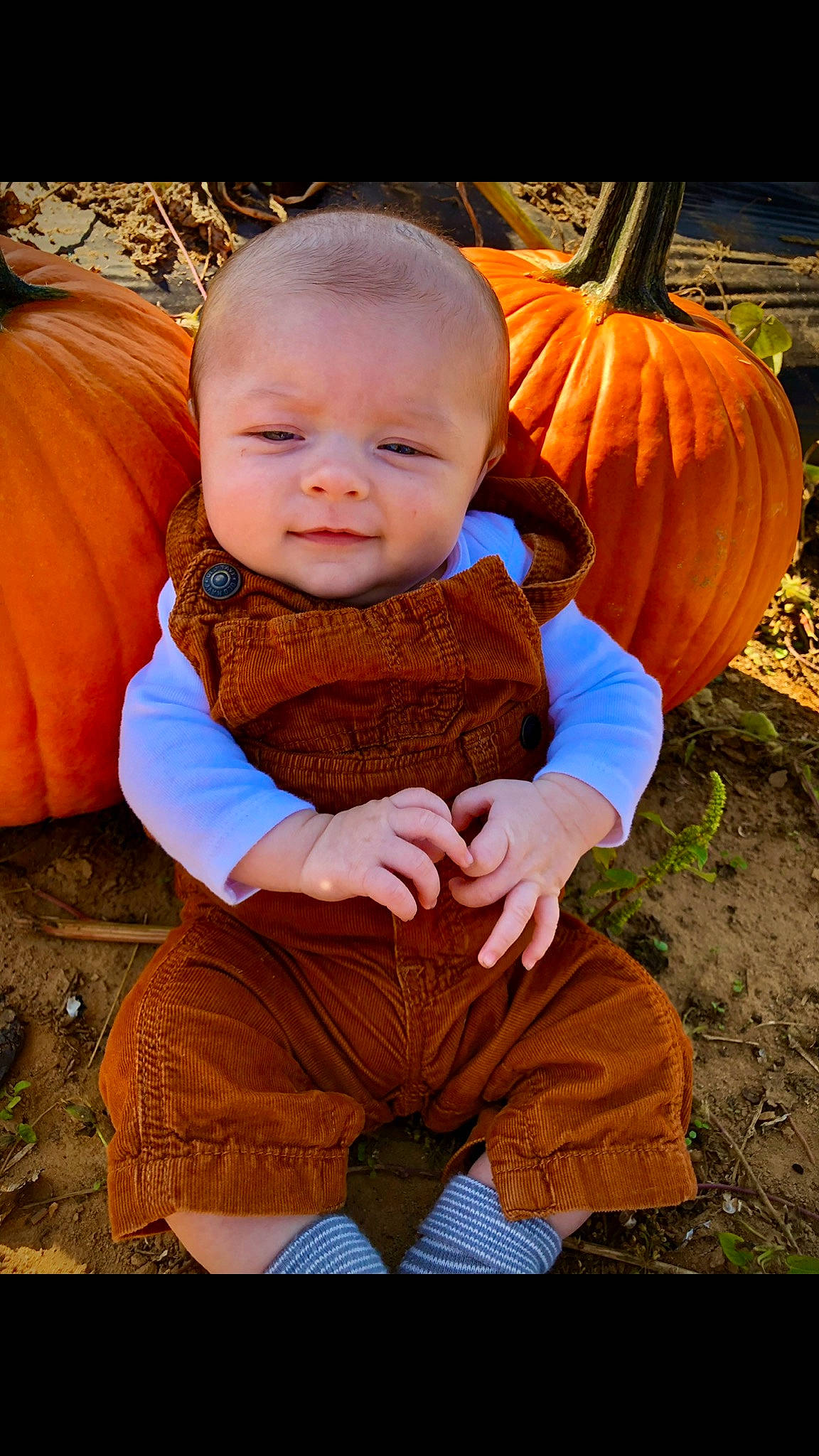 Noah is registered to the contest to win money with this photo: baby_toddler_clothing, calabaza, cucurbita, eye, fruit, gourd, grass, happy, head, human_body, iris, natural_foods, orange, outerwear, people_in_nature, person, plant, pumpkin, squash, winter_squash