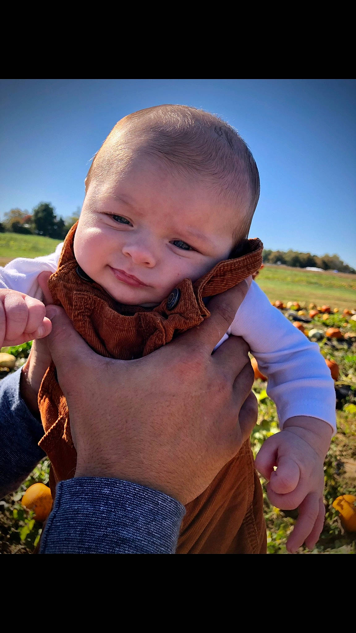 Noah joined the competition — help win amazing prizes! baby, baby_toddler_clothing, beauty, child, finger, gesture, grass, grassland, hand, happy, landscape, meadow, people_in_nature, person, plant, prairie, sky, smile, soil, toddler