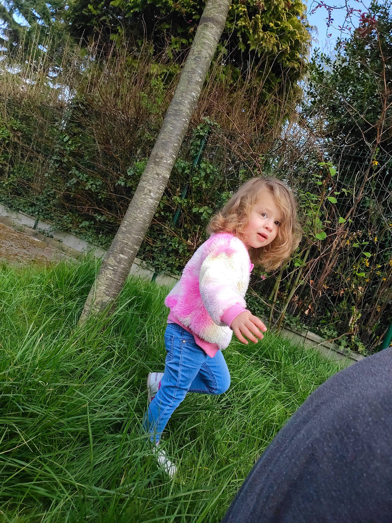 Layna a rejoint le concours — aidez-le/la à gagner de superbes lots ! child, fun, grass, grass_family, people_in_nature, person, plant, play, toddler, tree, vacation