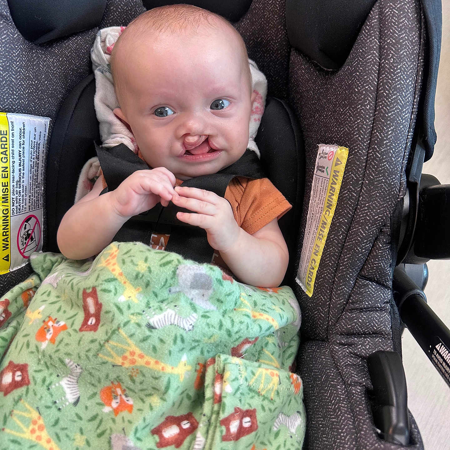 Horace is registered to the contest to win money with this photo: animal_print, baby, blanket, car_seat, child, clothing, comfort, cute, expression, fabric, face, hands, indoors, infant, newborn, person, portrait, seat_belt, sitting, young