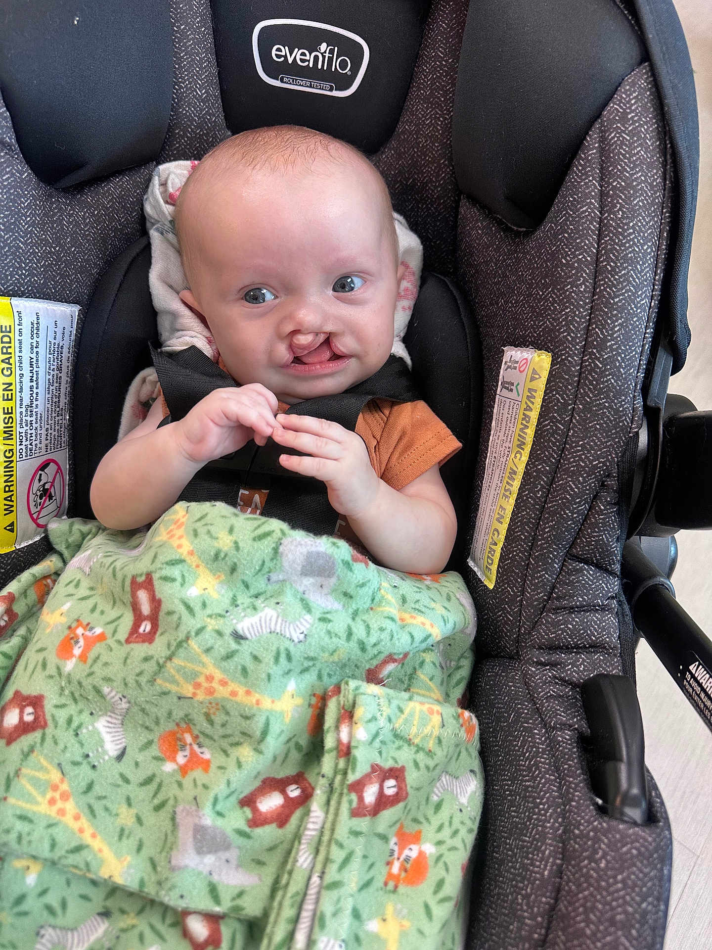 Horace is registered to the contest to win money with this photo: baby, child, car_seat, blanket, animal_print, infant, face, hands, cute, indoors, fabric, seat_belt, clothing, person, portrait, newborn, comfort, expression, sitting, young