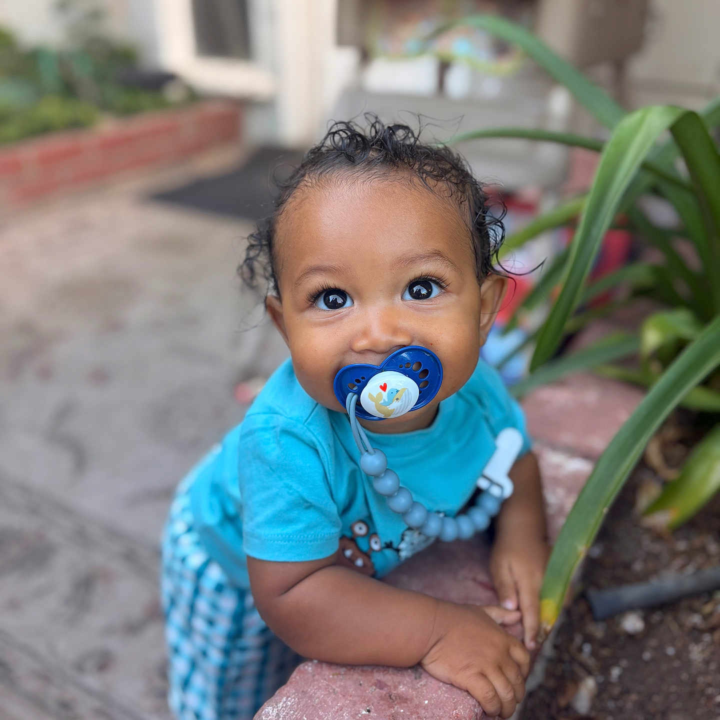 Kaida joined the competition — help win amazing prizes! baby, child, pacifier, blue_shirt, checkered_pants, brick, plant, greenery, outdoor, curious, face, hands, smiling, closeup, person, infant, cute, portrait, natural_light, happy