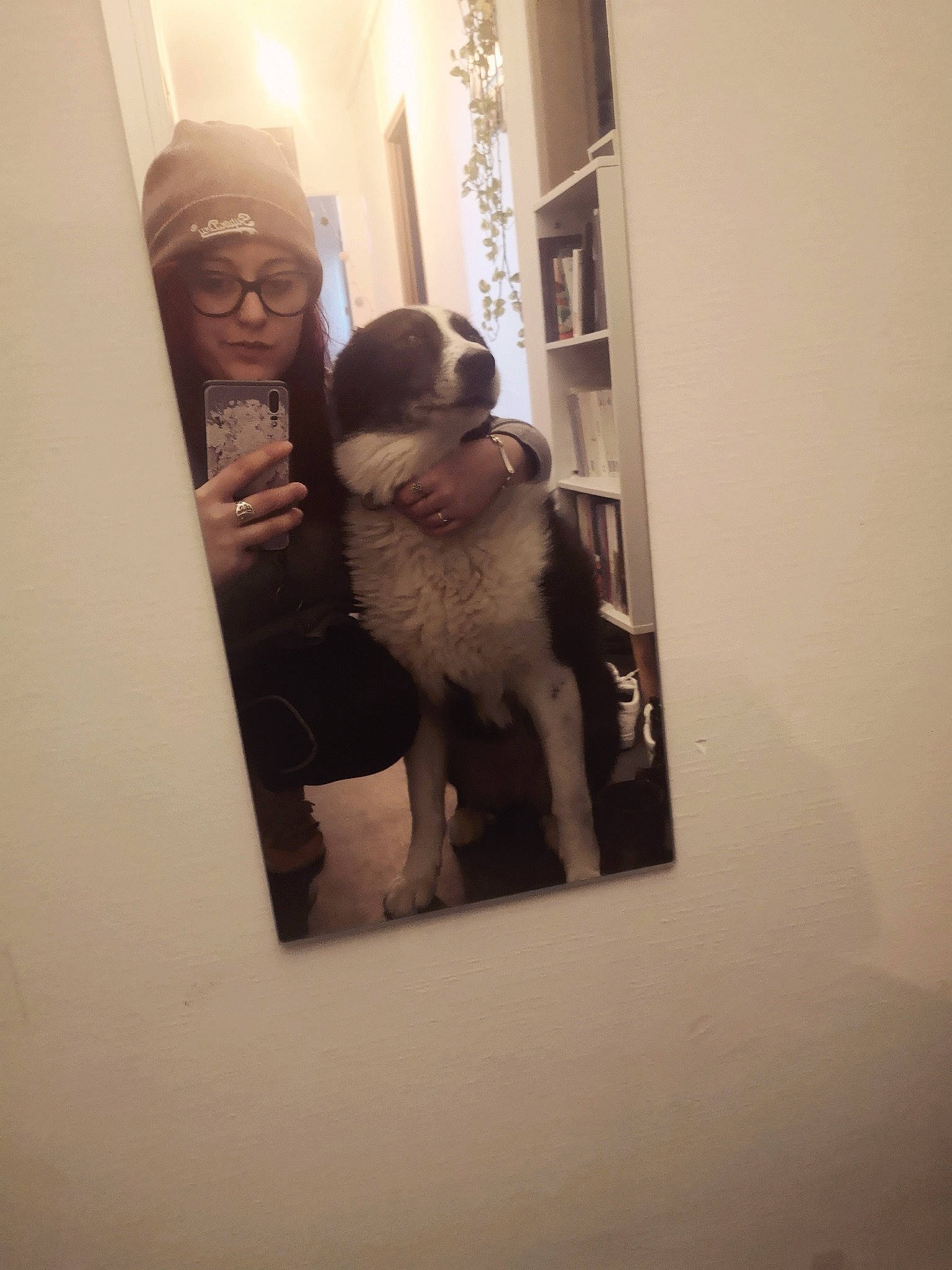 Gessy a rejoint le concours — aidez-le/la à gagner de superbes lots ! border_collie, canidae, carnivore, dog, home, house, room, stairs