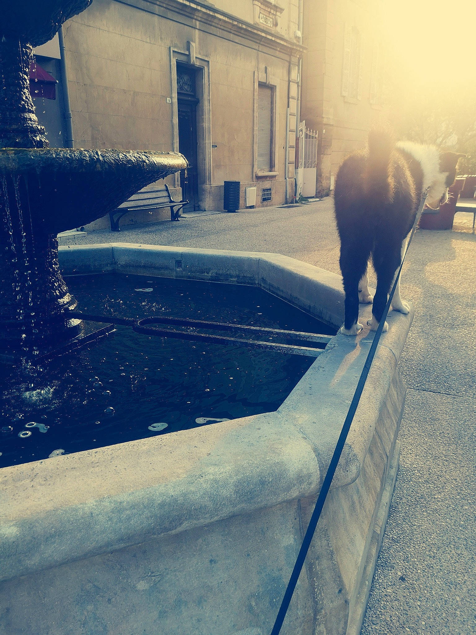 Gessy participe au concours pour gagner de l'argent avec cette photo : architecture, asphalt, cloud, metal, meteorological_phenomenon, morning, mountain, road, road_surface, shadow, sky, snout, square, tints_and_shades, tree, water, winter