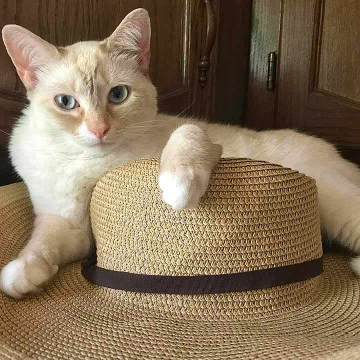 Ruby Ann