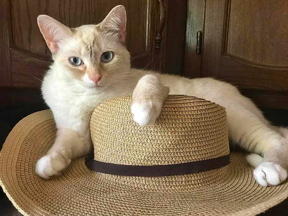 Ruby Ann