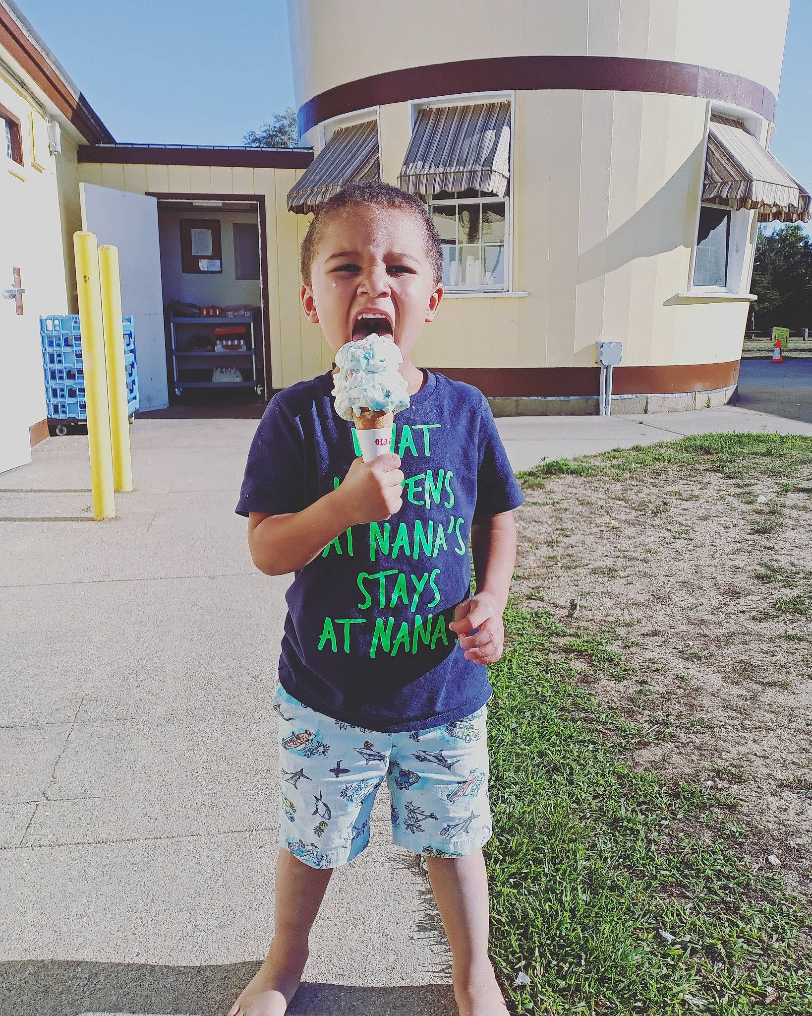 Lucas joined the competition — help win amazing prizes! child, cool, dairy, eye, fun, grass, green, happy, house, leisure, person, shoe, shorts, smile, snapshot, summer, t_shirt, toddler, tourism, vacation