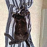 black_cat, cat, striped_towel, floor, green_eyes, pet, indoor, relaxed, lying_down, curious, fur, tail, animal, domestic_cat, playful, striped, texture, tile, collar, cute