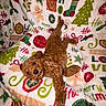 animal, blanket, brown_dog, christmas, christmas_tree, cozy, curly_fur, cute, dog, festive, fur, gingerbread_man, holiday, indoor, lying_down, pattern, pet, playful, relaxing, stocking