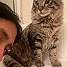 Boots is registered to the contest to win money with this photo: cat, tabby_cat, pet, animal, feline, bathtub, person, face, fur, whiskers, indoor, curious, closeup, companion, cute, domestic_animal, portrait, sitting, looking_away, hair