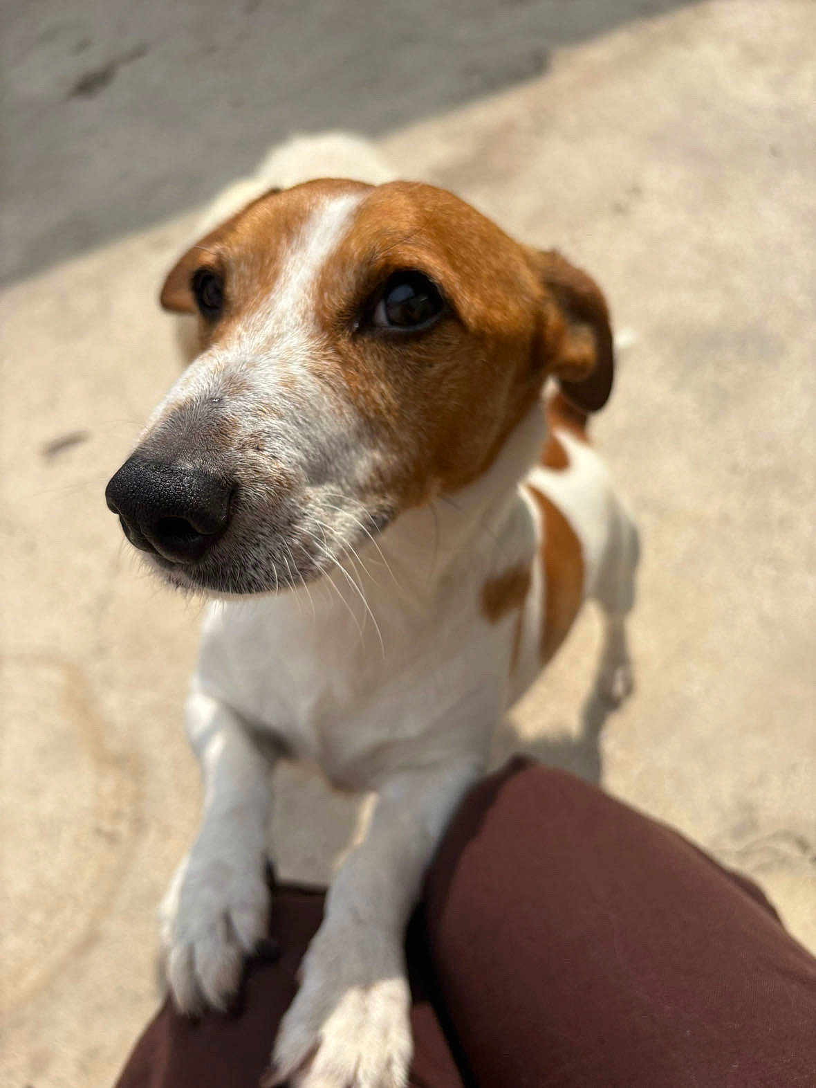 Charlie