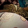 animal, bed, blanket, cat, closeup, collar, cozy, domestic_cat, floral_blanket, fur, indoors, nap, pet, plaid, relaxed, resting, sleeping, sleepy, striped_fur, tabby