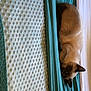Calvin Wd is registered to the contest to win money with this photo: carnivore, cat, comfort, curtain, dog_breed, domestic_short_haired_cat, fawn, felidae, flooring, fur, hardwood, linens, siamese, sleeve, small_to_medium_sized_cats, sporting_group, tail, textile, whiskers, wood