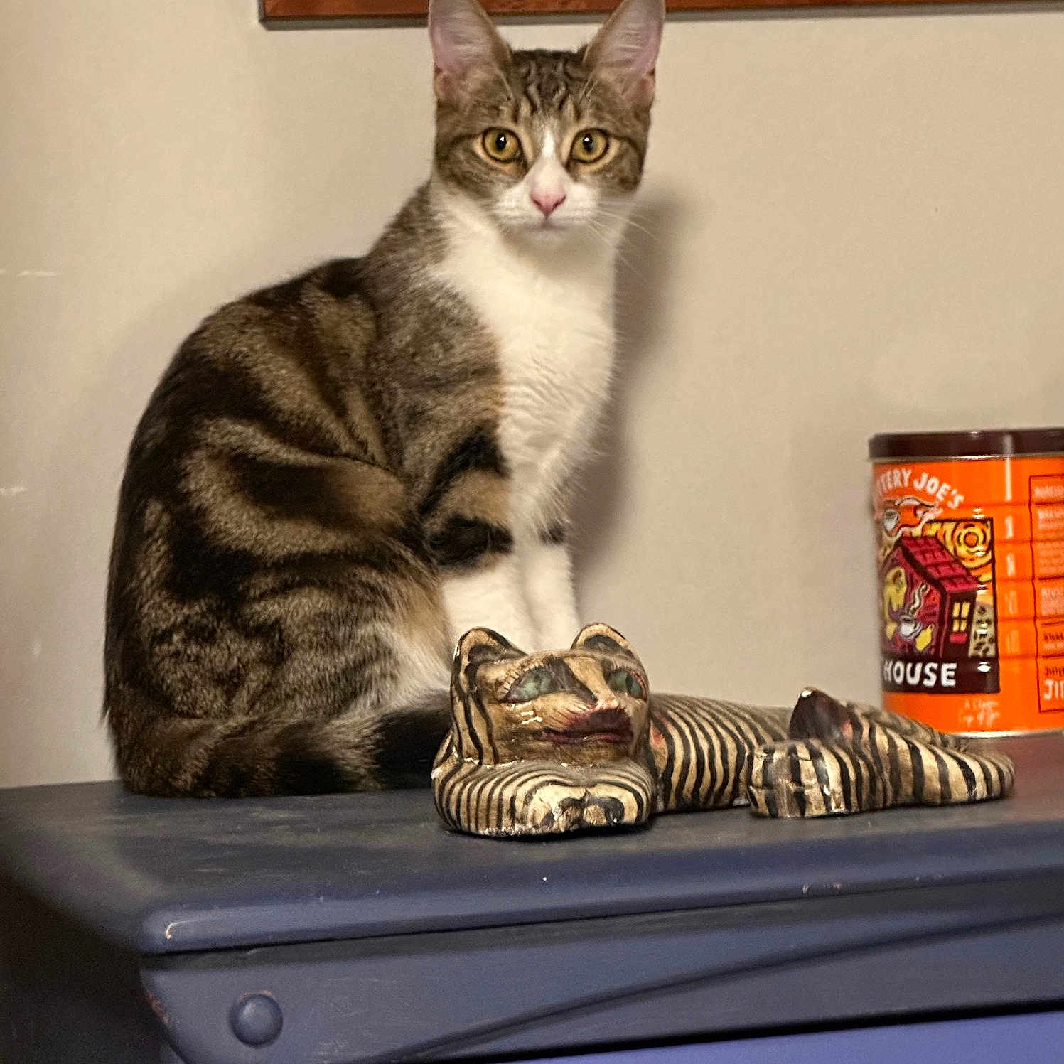 Nala joined the competition — help win amazing prizes! animal, blue_furniture, cat, curious, cute, decor, domestic, eyes, figurine, framed_picture, furniture, indoor, orange_container, pet, portrait, sitting, still_life, striped, tabby, wall