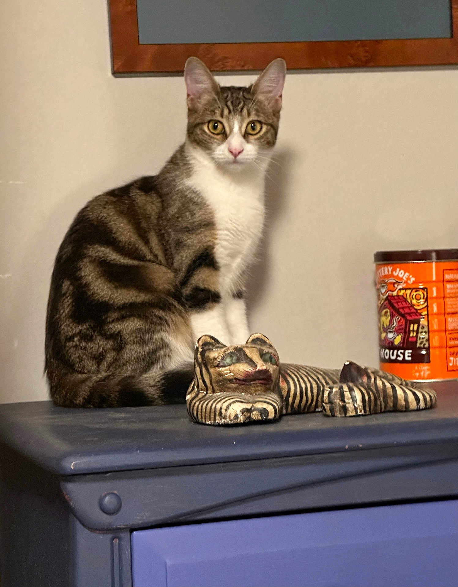 Nala joined the competition — help win amazing prizes! cat, tabby, furniture, figurine, orange_container, indoor, pet, animal, curious, sitting, striped, decor, blue_furniture, wall, framed_picture, domestic, cute, eyes, portrait, still_life