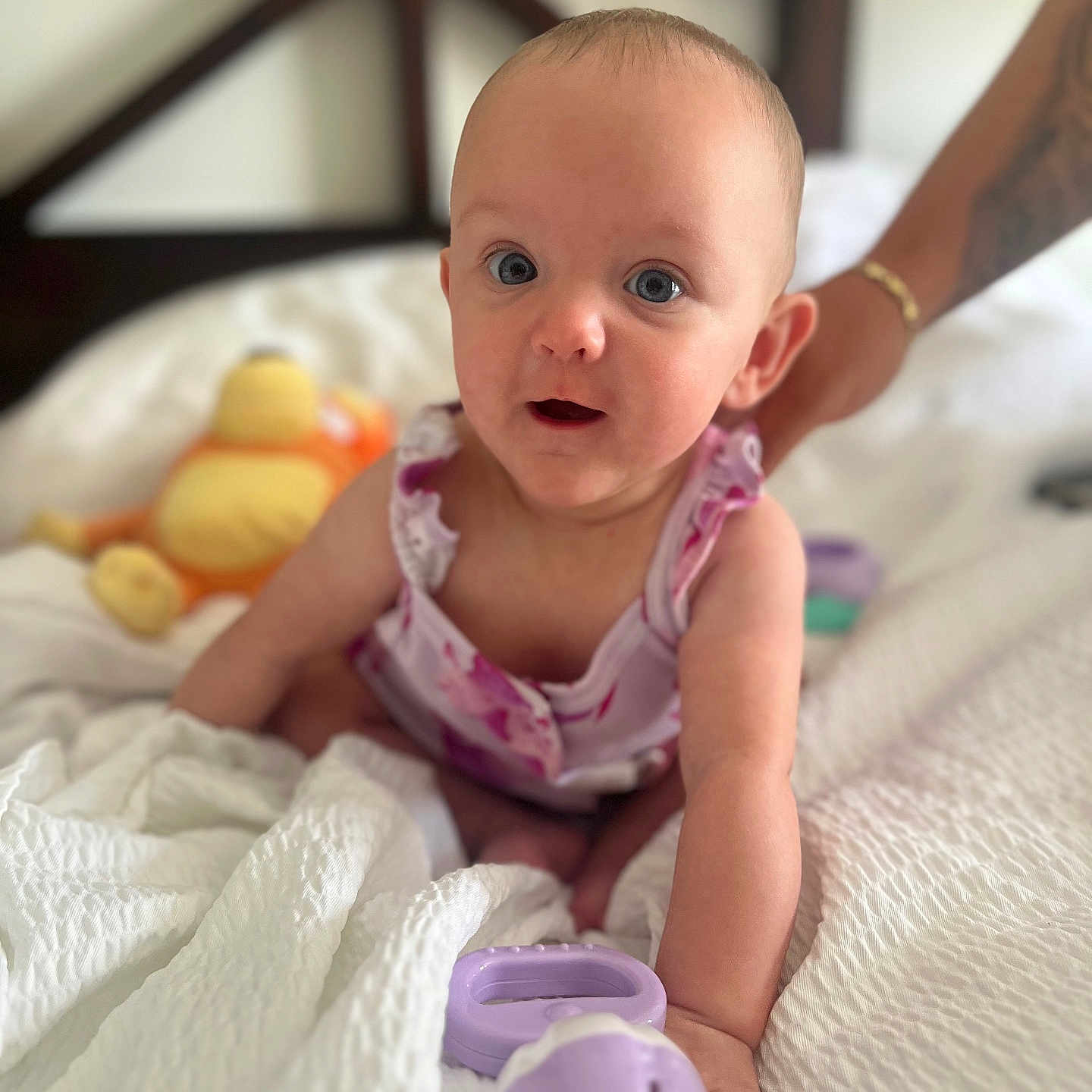 Leila is registered to the contest to win money with this photo: arm, baby, bed, blanket, closeup, clothing, curious, cute, expression, hand, indoor, infant, person, purple, skin, smiling, soft, support, tattoo, toy