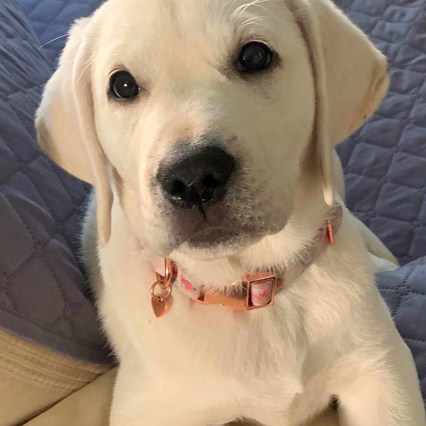 Zoey