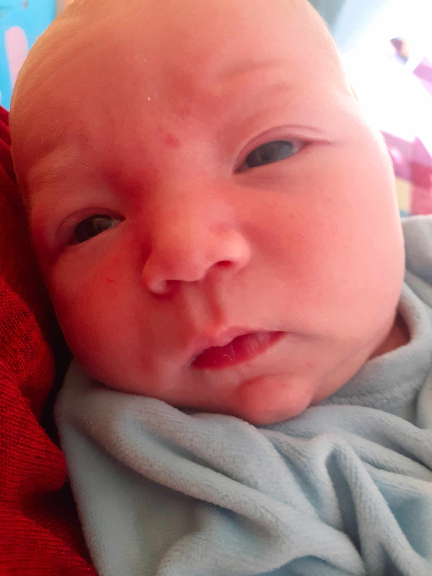 Eli is registered to the contest to win money with this photo: baby, newborn, face, closeup, infant, skin, blanket, blue, red, sleepy, expression, person, child, soft, cute, young, portrait, indoors, resting, wrapped