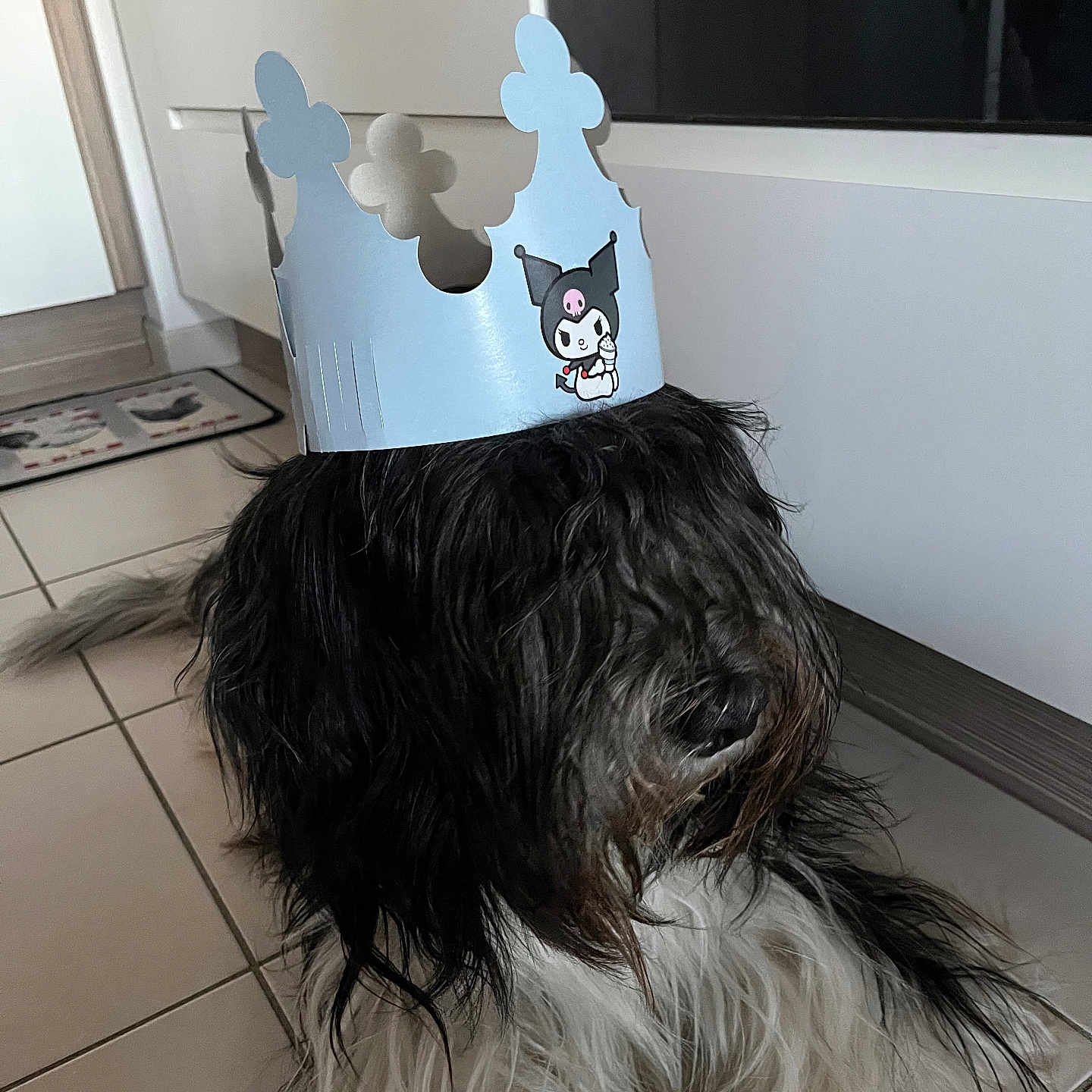 César participe au concours pour gagner de l'argent avec cette photo : dog, crown, paper_crown, indoor, tile_floor, black_and_white, shaggy, pet, animal, cute, portrait, sitting, fur, floor, calm, house, decor, cartoon, character, playful