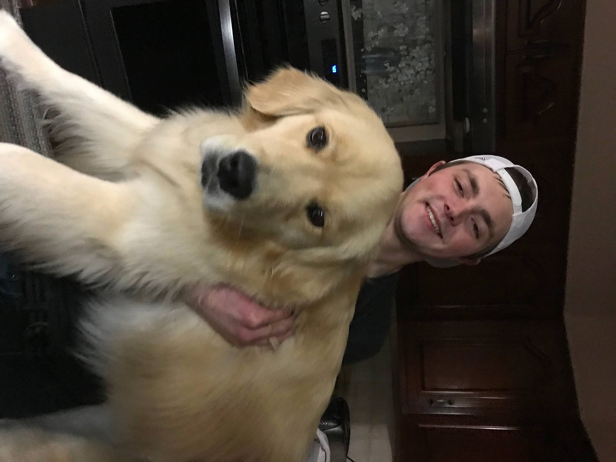 Shelby Rose joined the competition — help win amazing prizes! canidae, carnivore, companion_dog, dog, dog_breed, ear, eye, fang, fawn, fur, gesture, happy, jaw, nose, organ, selfie, snout, sporting_group, whiskers, working_animal