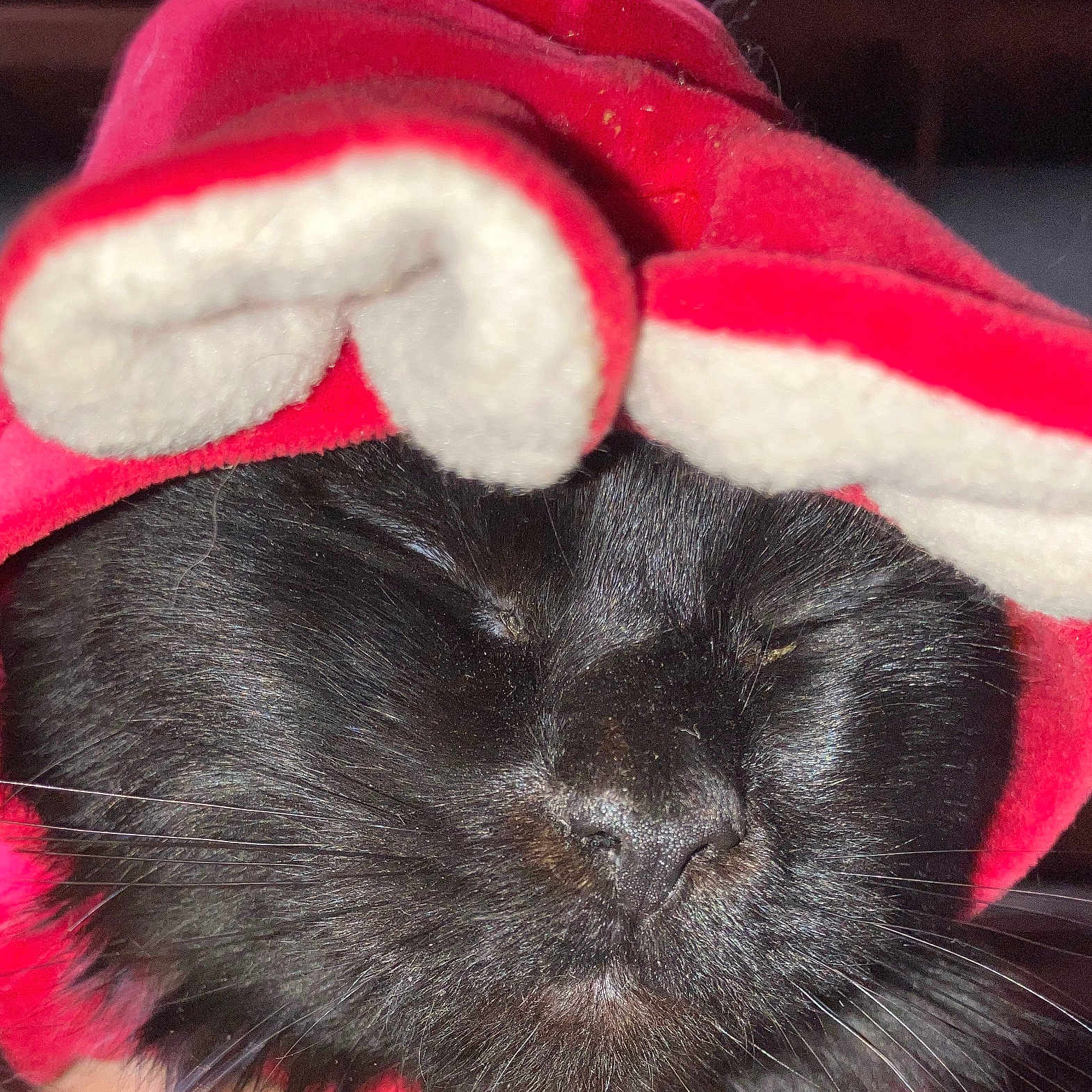 Circle