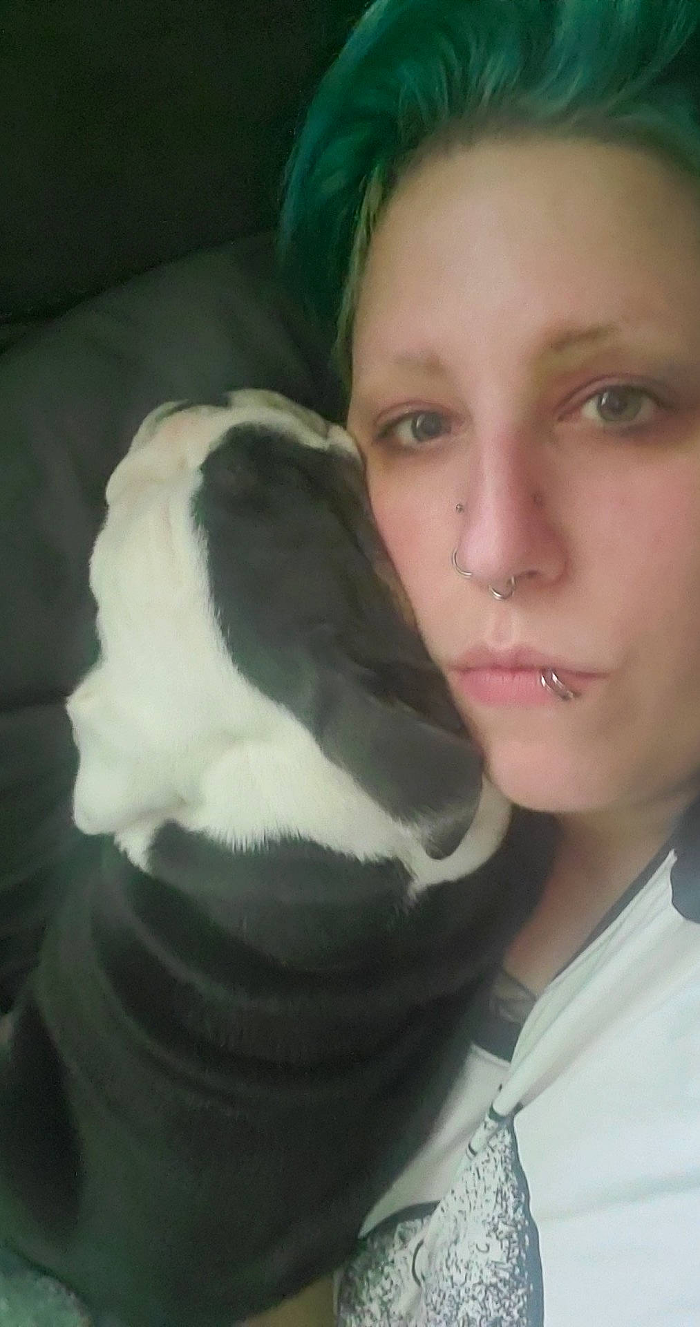 Chop joined the competition — help win amazing prizes! black_hair, comfort, cool, ear, eye, eyebrow, eyelash, face, gesture, hair, head, human_body, iris, jaw, lip, mouth, neck, nose, skin, whiskers