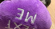 Zoe joined the competition — help win amazing prizes! dog, plush_toy, purple, heart_shaped, text, floor, wooden_floor, pet, cute, fluffy, indoor, close_up, toy, animal, playing, soft, embroidery, nose, fur, small_dog
