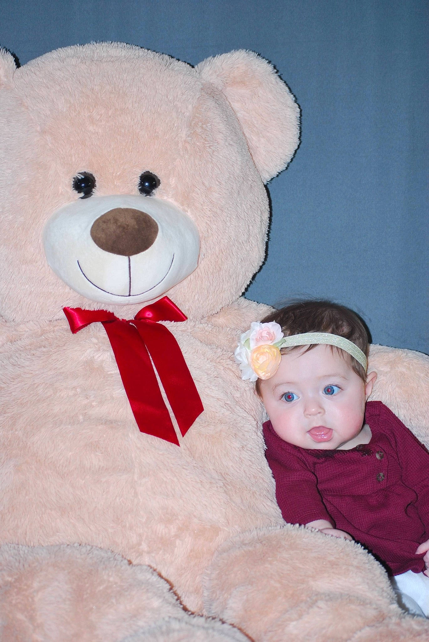 Shaelynn joined the competition — help win amazing prizes! baby, baby_toddler_clothing, bear, child, font, fur, happy, head, headwear, magenta, nose, person, pink, plush, snout, stuffed_toy, teddy_bear, terrestrial_animal, textile, toddler