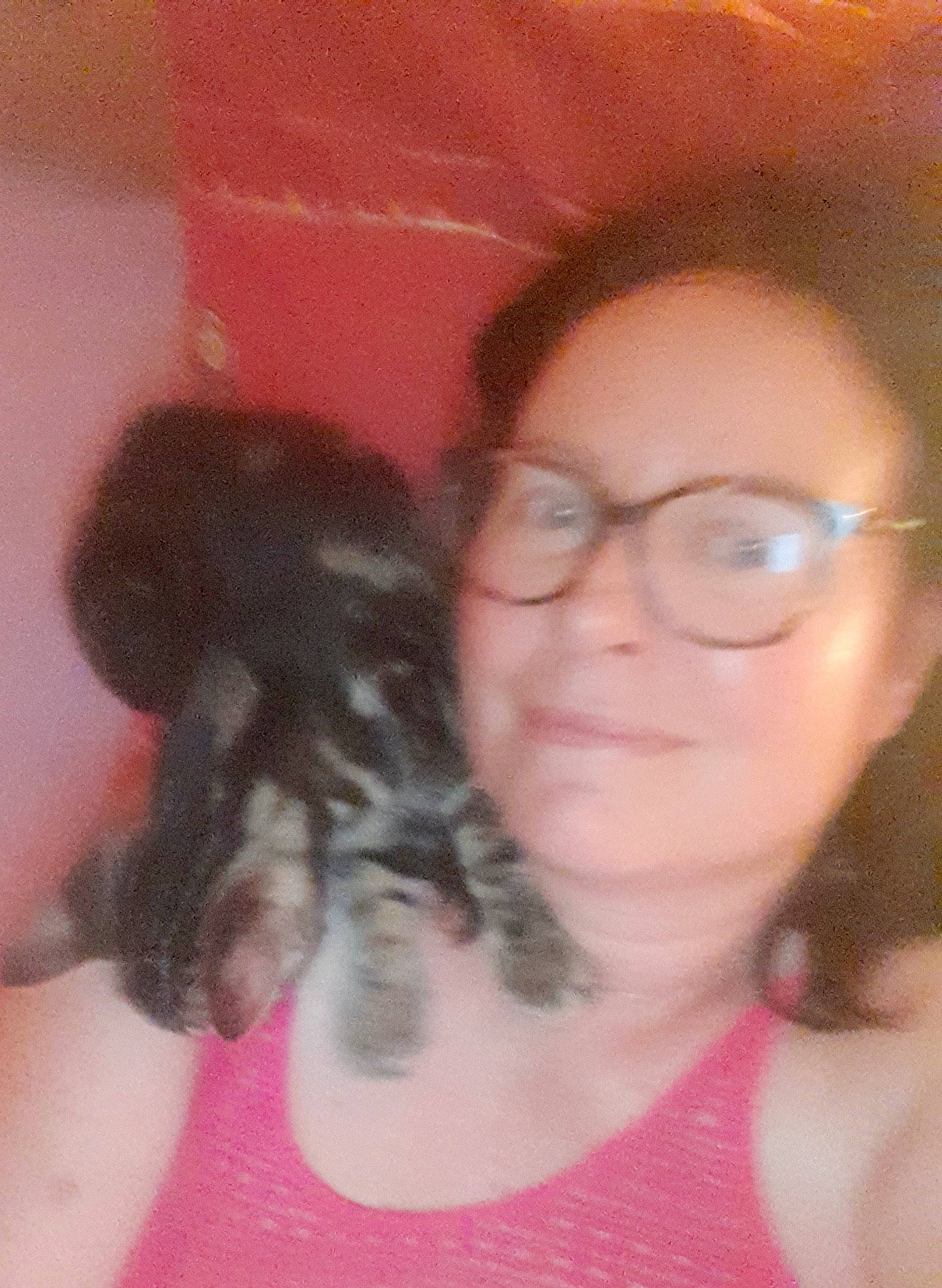 Grizou a rejoint le concours — aidez-le/la à gagner de superbes lots ! black_hair, carnivore, companion_dog, cool, dog_breed, ear, eyebrow, eyelash, fawn, gesture, happy, iris, lip, mouth, neck, nose, pink, skin, smile, vision_care