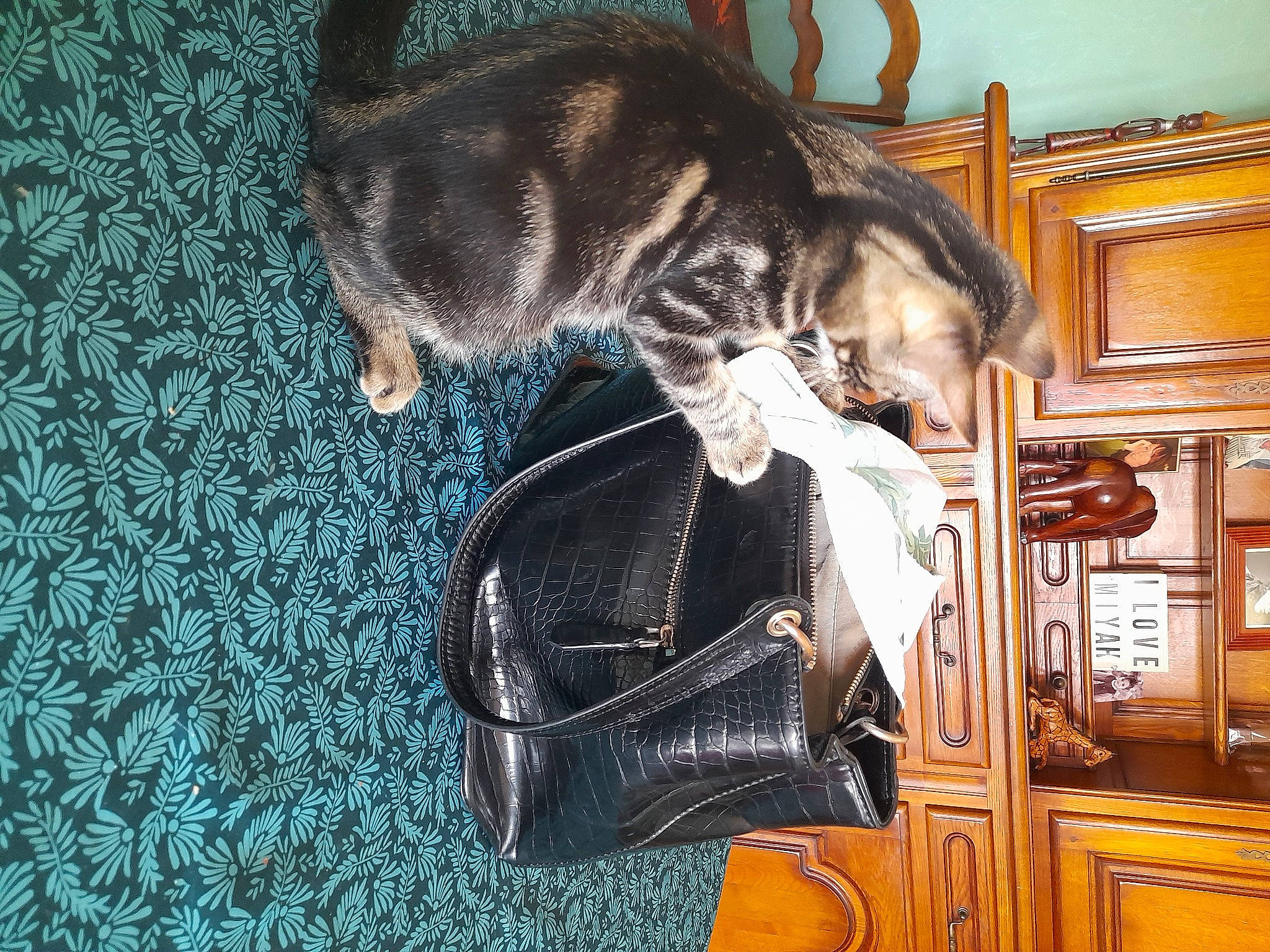 Grizou a rejoint le concours — aidez-le/la à gagner de superbes lots ! cabinetry, canidae, carnivore, cat, claw, comfort, dog_breed, domestic_short_haired_cat, felidae, flooring, fur, leather_jacket, room, small_to_medium_sized_cats, snout, sporting_group, tail, tree, whiskers, wood