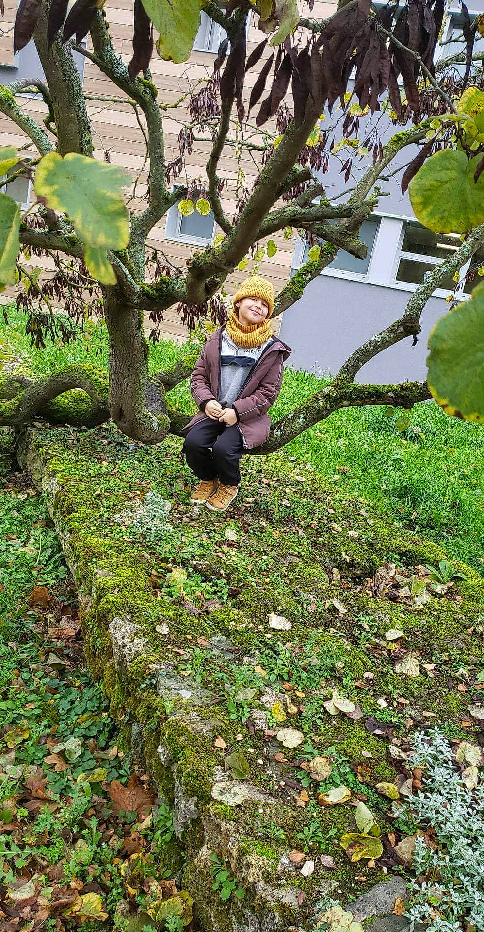 Killian participe au concours pour gagner de l'argent avec cette photo : biome, deciduous, flowering_plant, forest, grass, groundcover, headwear, joy, leisure, people_in_nature, person, plant, shrub, sitting, smile, soil, terrestrial_plant, tree, trunk, twig