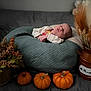 baby, newborn, sleeping, pumpkin, autumn, pampas_grass, cushion, green, decor, vase, rustic, orange, blanket, indoor, cozy, peaceful, fall, holiday, portrait, child