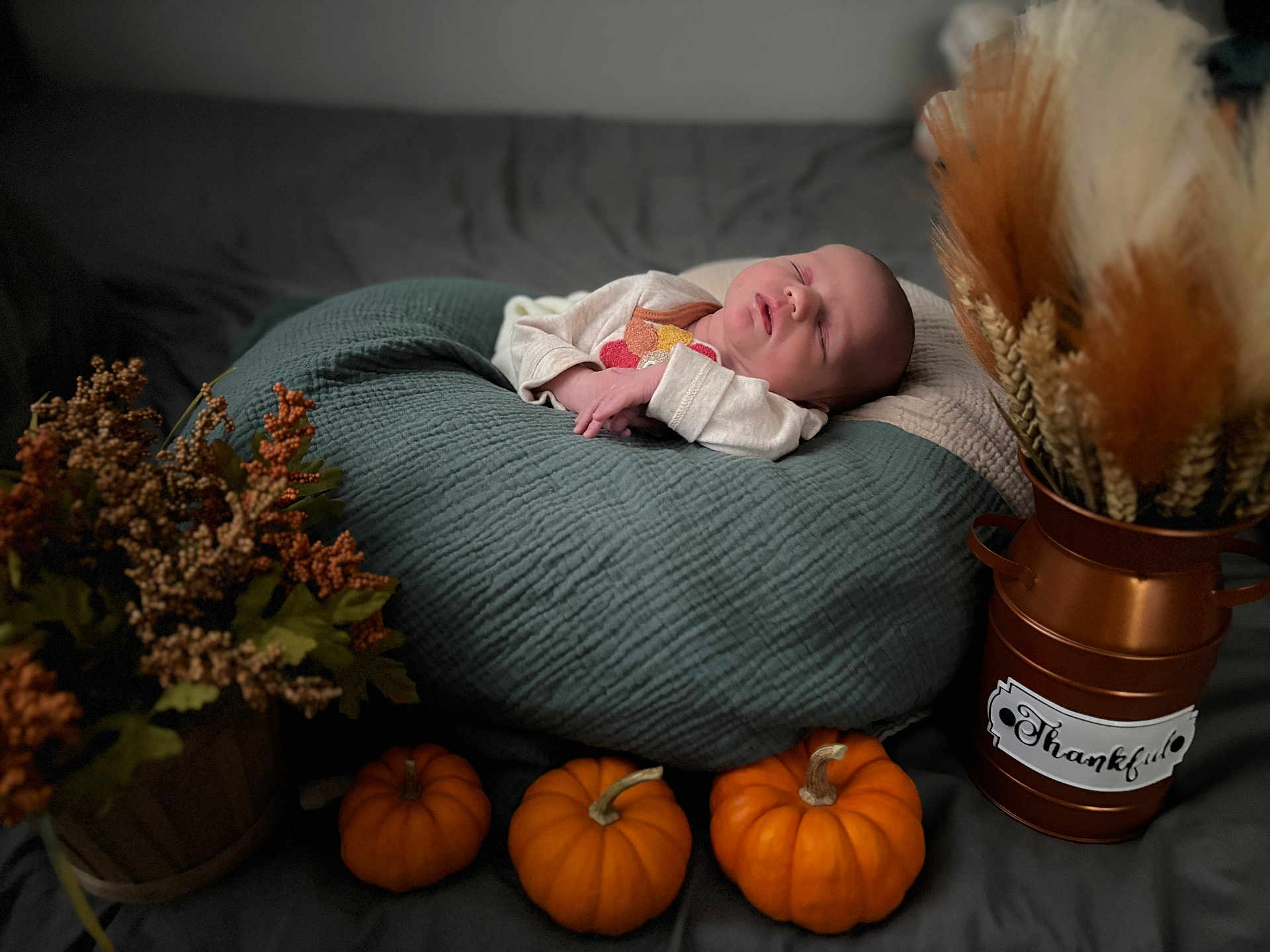 Illiana joined the competition — help win amazing prizes! baby, newborn, sleeping, pumpkin, autumn, pampas_grass, cushion, green, decor, vase, rustic, orange, blanket, indoor, cozy, peaceful, fall, holiday, portrait, child