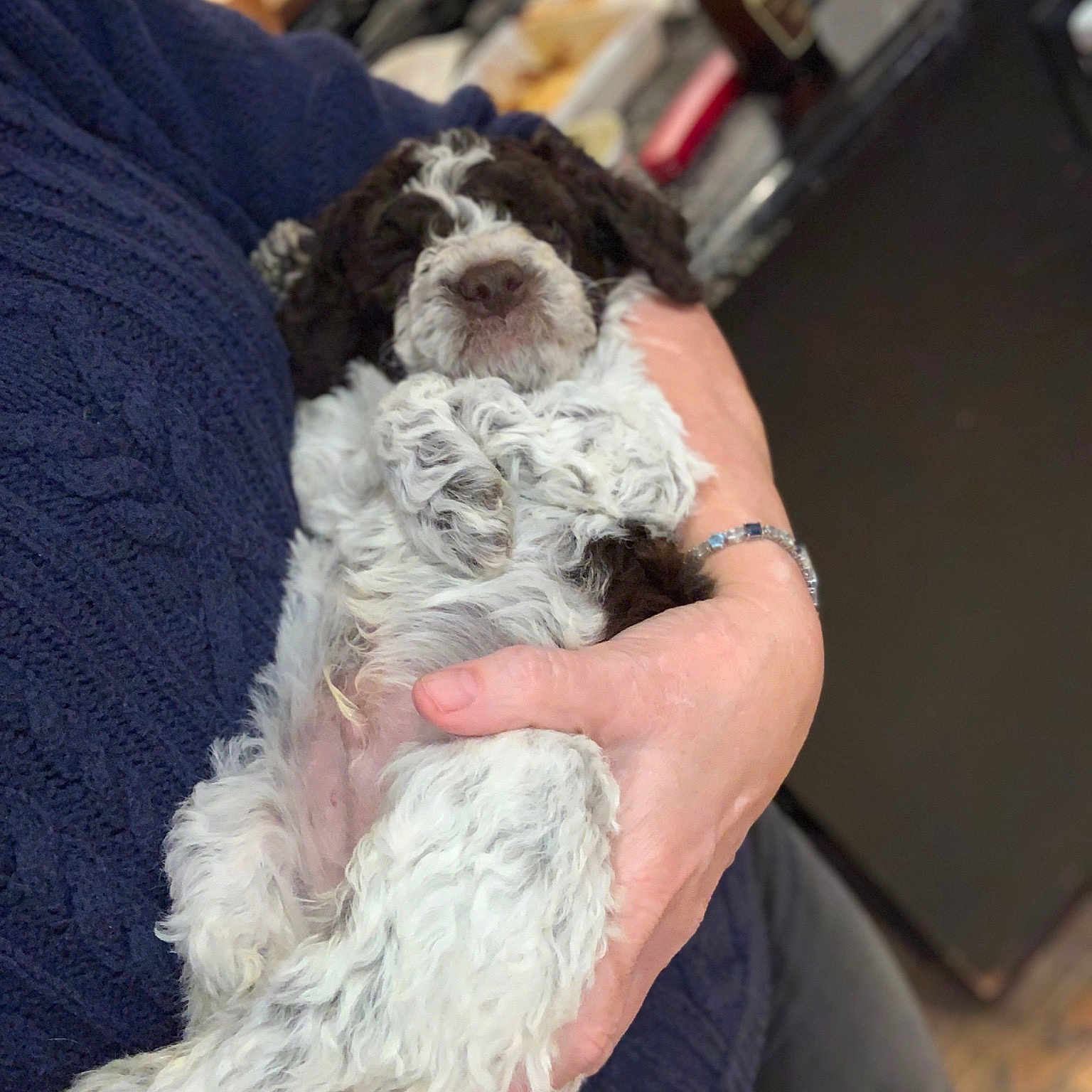 Tucker