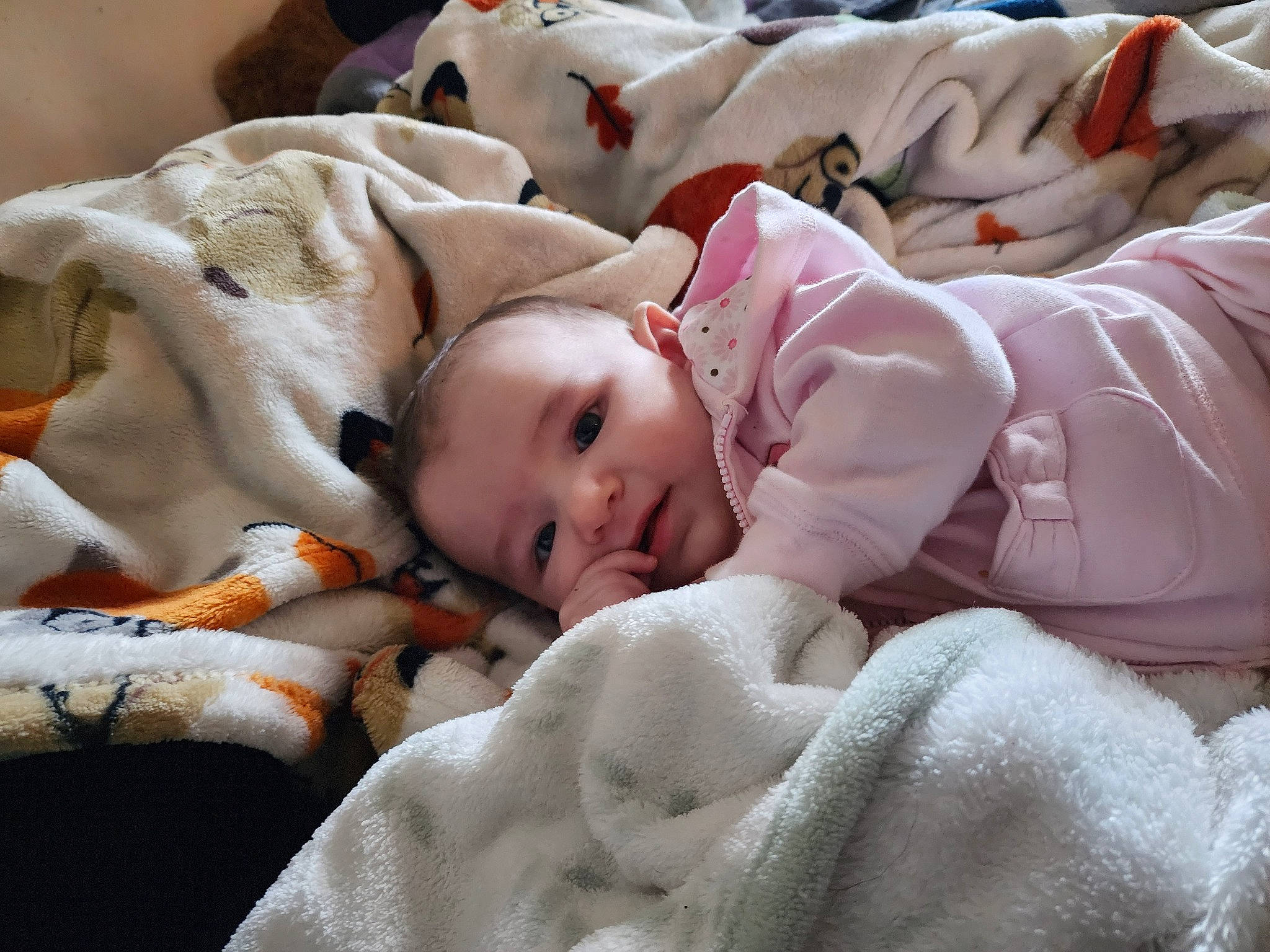 Summer is registered to the contest to win money with this photo: baby, baby_toddler_clothing, bedding, bedtime, blanket, cheek, child, comfort, fur, happy, head, linens, nap, person, room, sitting, sleep, toddler, wood